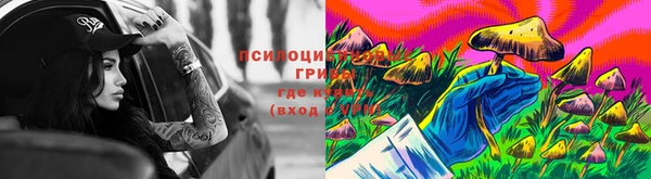 марки lsd Карпинск