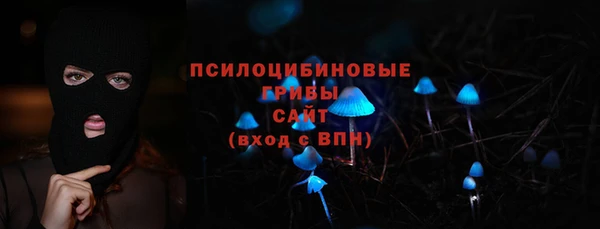 ешки Касимов