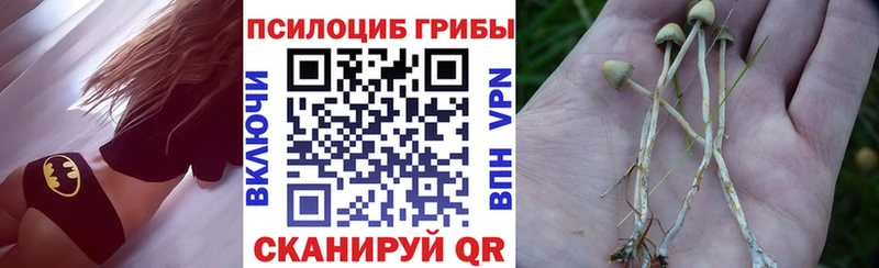 Псилоцибиновые грибы Magic Shrooms Купить Ирбит